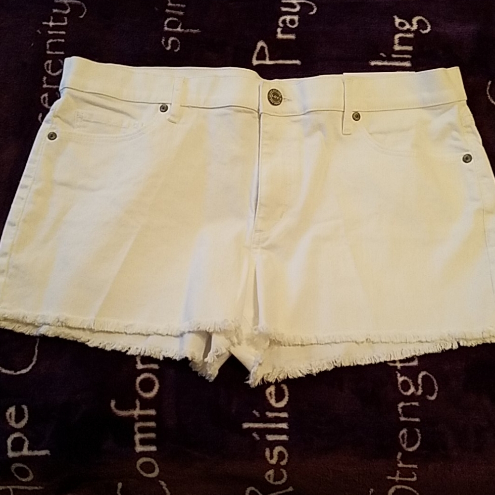 Loft Shorts